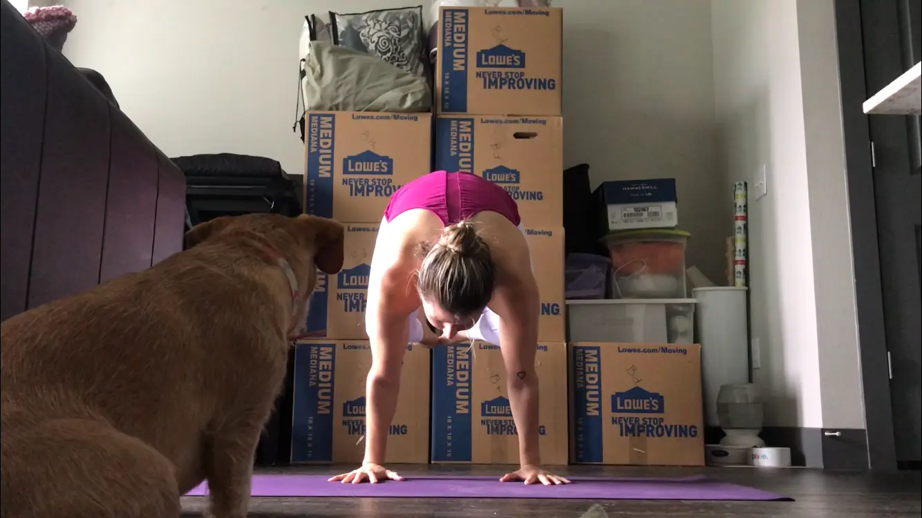 Practicing yoga on a mat in front of stacked moving boxes with Pixie watching